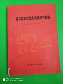 鄂尔多斯盆地非地震油气勘探