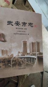 武安市志