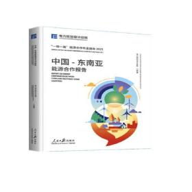 中国-东南亚能源合作报告