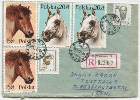 FDC-M25波兰邮票 1989年 动物 马 实寄封