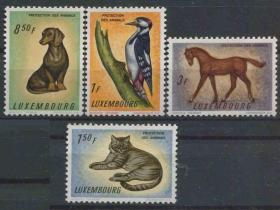 stamp-A03卢森堡邮票 1961年 动物 猫狗马啄木鸟  4全新 DD