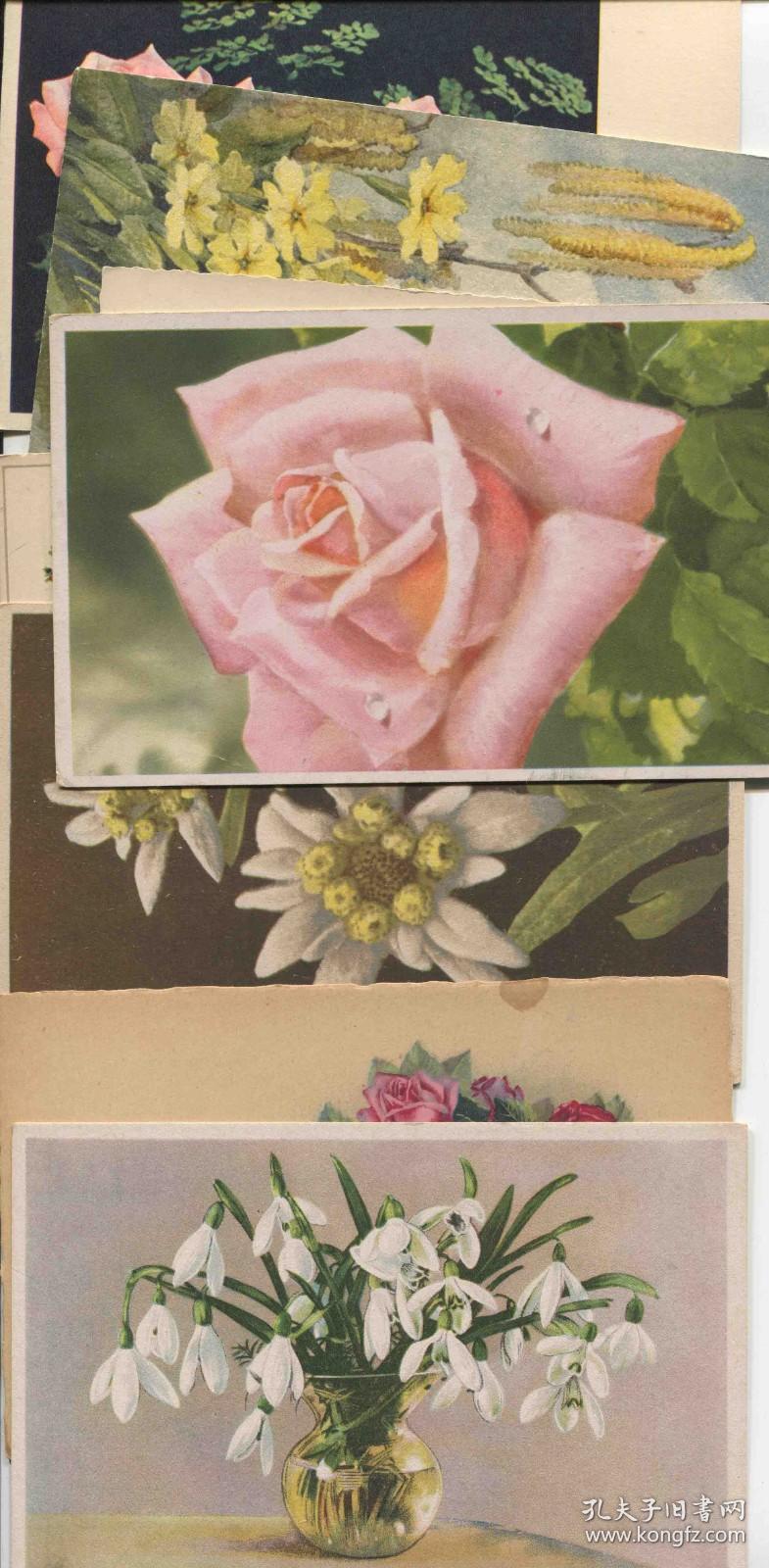 CARD-B01j外国早期 空白明信片12枚 花卉插花植物 DD