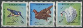 stamp-A03白俄罗斯邮票 1993年 鸟类 天鹅 翠鸟 老鹰 3全新 DD