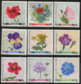 stamp-A02波兰邮票 1967年 植物花卉 9全新 DD