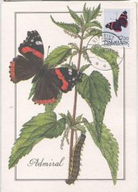 MC-A21丹麦邮票1993年 蝴蝶 昆虫动物 极限片 DD