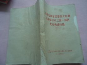 高举毛泽东思想伟大红旗认真学习八三四一部队支左先进经验（370页）