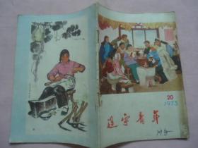 辽宁青年1973年第20期