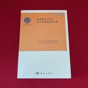 能源革命中电网及技术发展预测和对策