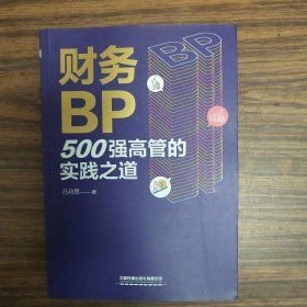 财务BP：500强高管的实践之道