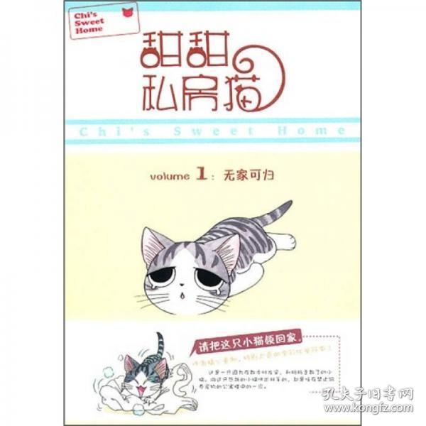 甜甜私房猫1：无家可归