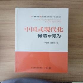 中国式现代化：何谓与何为