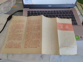 菊展1963年