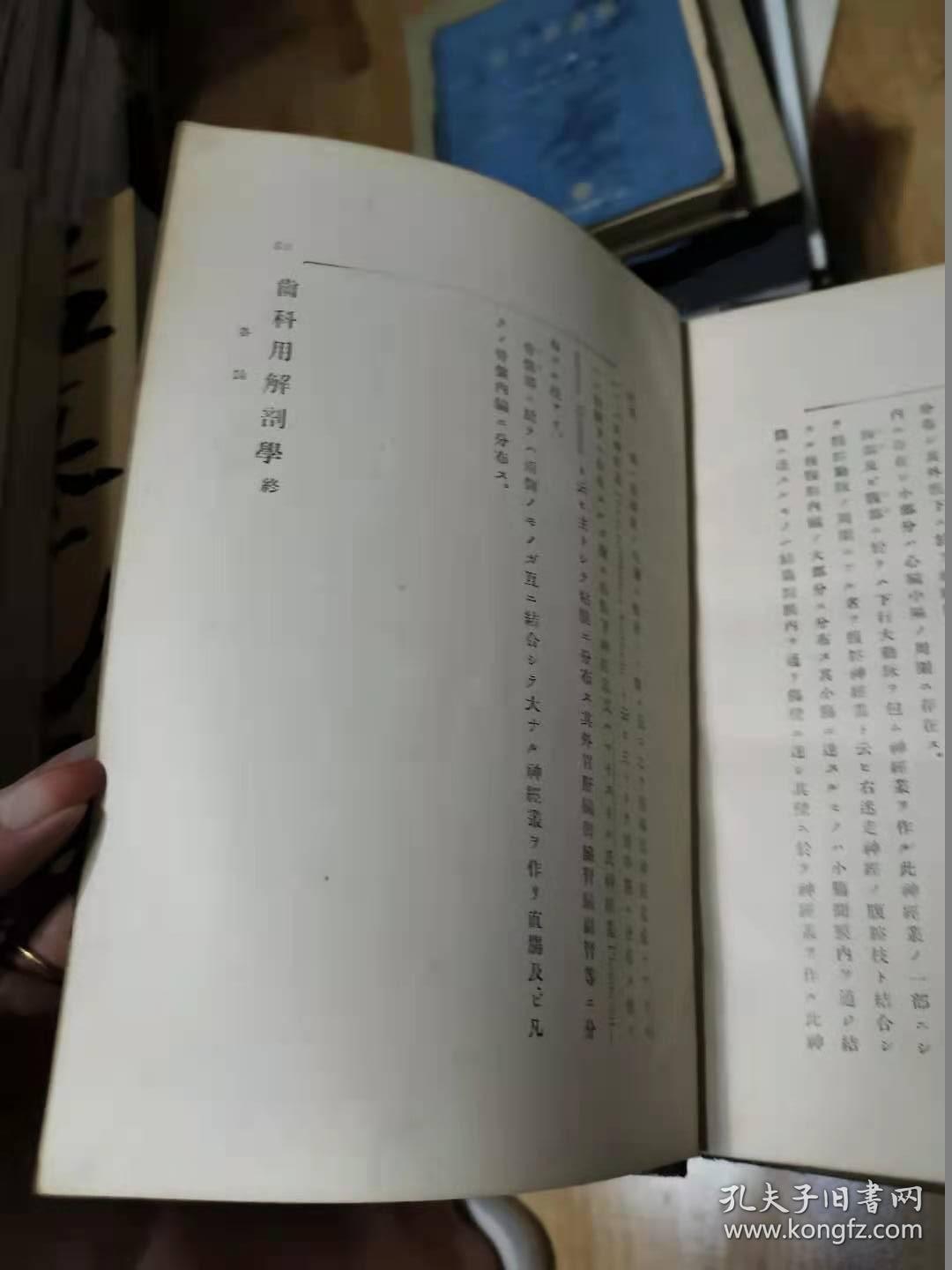 齿科用解剖学