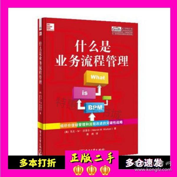 什么是业务流程管理：组织价值链管理和流程改进的突破性战略