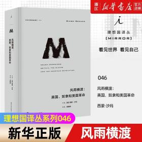 正版包邮 理想国译丛046:风雨横渡--英国奴隶和美国革命 一份宣言引发两种自由精神的冲突美洲历史书籍