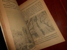 论石灰岩地形 插图本 1959年1版1印仅印520册（自然旧内页泛黄 有几枚馆藏印章及藏书袋 品相看图）