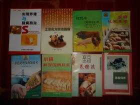 (養(yǎng)豬技術(shù)類(lèi)8冊(cè))實(shí)用養(yǎng)豬與豬病防治+土法良方防治豬病+豬雞牛飼養(yǎng)技術(shù)+養(yǎng)豬飼料及配制技術(shù)+家庭科學(xué)養(yǎng)豬+小豬科學(xué)飼養(yǎng)技術(shù)+百日出欄養(yǎng)豬法+香豬飼養(yǎng) 共8冊(cè)合售（自然舊 3冊(cè)內(nèi)幾處稍劃線(xiàn)字跡 品相看圖自鑒免爭(zhēng)議）