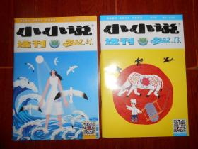 小小说选刊 2002年第13、14期 共2册合售（近未阅 品好看图 ）