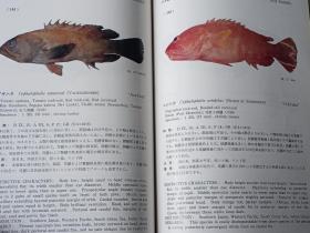 南海の魚類　 　　日文精装  　19８２年出版、海洋水産資源開発センター、昭和５７年、333p、27cm