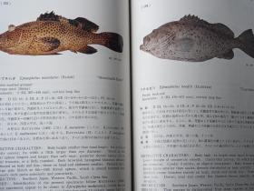 南海の魚類　 　　日文精装  　19８２年出版、海洋水産資源開発センター、昭和５７年、333p、27cm