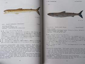 南海の魚類　 　　日文精装  　19８２年出版、海洋水産資源開発センター、昭和５７年、333p、27cm