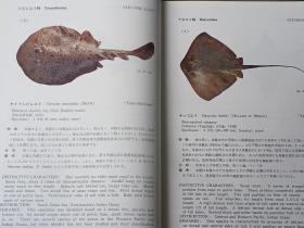 南海の魚類　 　　日文精装  　19８２年出版、海洋水産資源開発センター、昭和５７年、333p、27cm