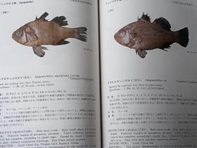 南海の魚類　 　　日文精装  　19８２年出版、海洋水産資源開発センター、昭和５７年、333p、27cm