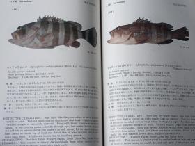 南海の魚類　 　　日文精装  　19８２年出版、海洋水産資源開発センター、昭和５７年、333p、27cm