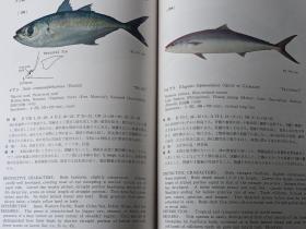 南海の魚類　 　　日文精装  　19８２年出版、海洋水産資源開発センター、昭和５７年、333p、27cm