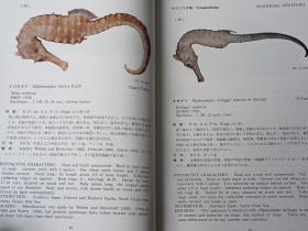 南海の魚類　 　　日文精装  　19８２年出版、海洋水産資源開発センター、昭和５７年、333p、27cm