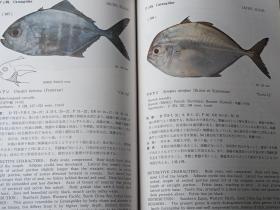 南海の魚類　 　　日文精装  　19８２年出版、海洋水産資源開発センター、昭和５７年、333p、27cm