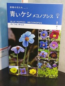 青いケシ 冨山稔 著 蓝色的高山粟集锦 日文原版 全新 彩图 127p