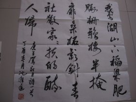 沈维进 书法
