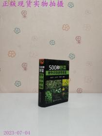 500种野菜野外识别速查图鉴