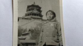 早期戴毛主席像章的美女黑白照片。
