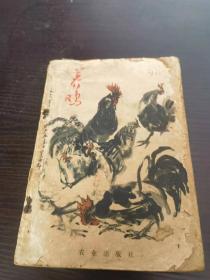 养鸡 封面为石齐1978年画于北京西郊