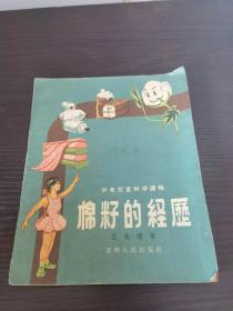 棉籽的经历
