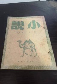 小说月刊 第二卷 第二期