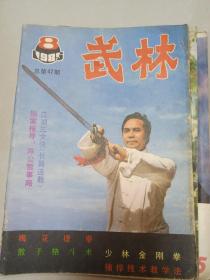 武林1985年第8期