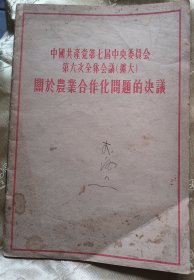 关于农业合作化问题的决议