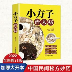 小方子治大病   中医书籍养生偏方大全民间老偏方美容养颜常见病防治 保健食疗偏方秘方大全小偏方老偏方中医健康养生保健疗法