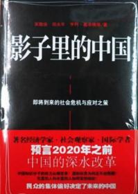 影子里的中国：即将到来的社会危机