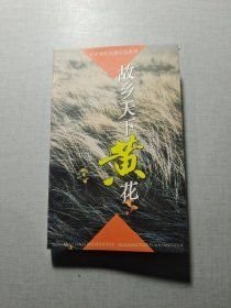 故乡天下黄花