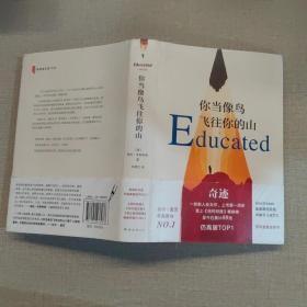 你当像鸟飞往你的山
