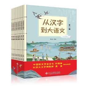 正版从汉字到大语文(共8册)FZ9787514235784文化发展出版社有限公司陈瑞