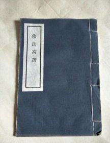 【提供资料信息服务】张氏族谱，194页