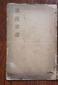 【提供资料信息服务】张氏族谱，万石堂，170页