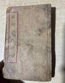 【提供资料信息服务】洮州丁氏族谱，（清）丁裕谦。