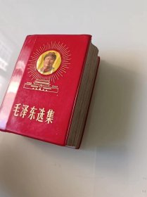 毛泽东选集 一卷本（放光芒）