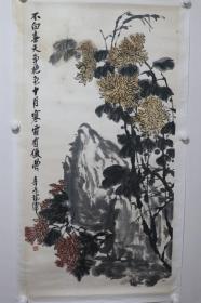 李龙潭 菊石图